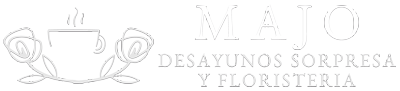 light logo